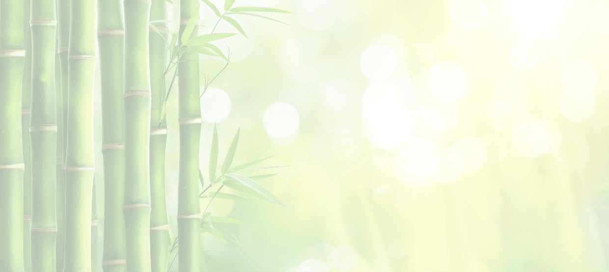 Bamboo Forest Background